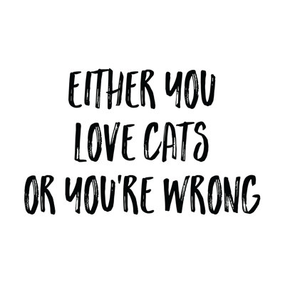Love Cats - Wrapped Canvas Print