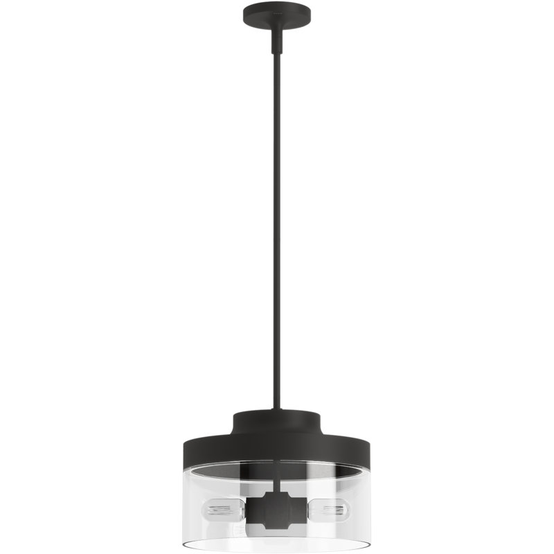 Purist 12½-In Two-Light Pendant, Matte Black