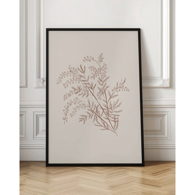 Branche botanique d'acacia