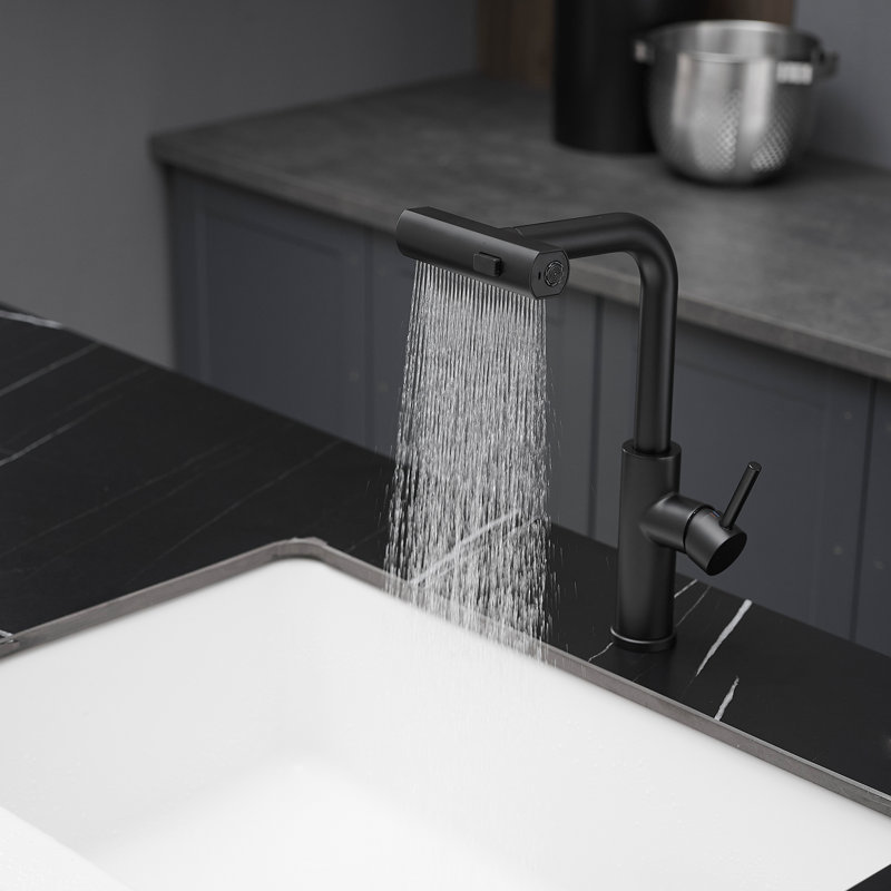 Single Handle Basin Sink Pull Out Kitchen Faucet With 360° Rotating Spout, Matte Black