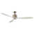 Lacquered White is out of stock selected