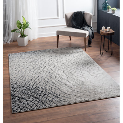 Tapis gris anthracite Aailiyah