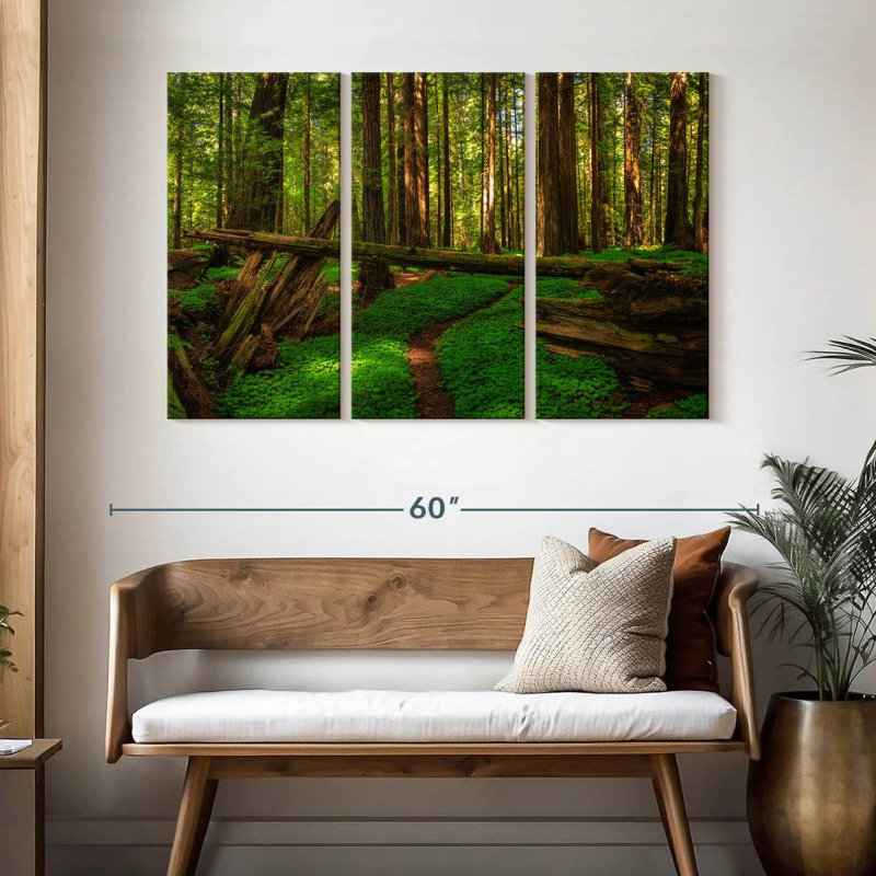 Forêt de séquoias à Harnek, H 32 po x l 50 po