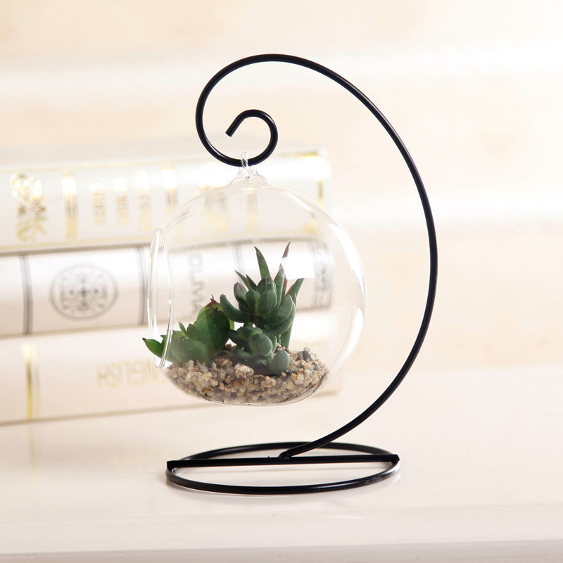 Agave plante suspendue en pot
