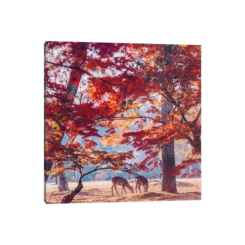 «Autumn Sunrise in Nara» par Hobopeeba - reproduction, H 26 po x l 26 po x P 1,5 po, Toile tendue, Pas de tapis