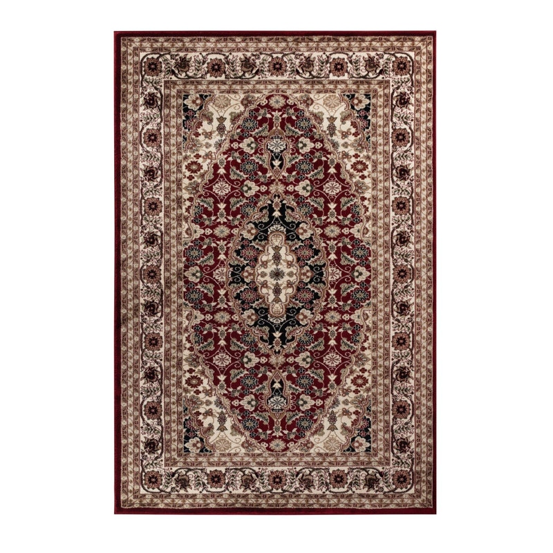 Sevanna Oriental Indoor Rug, Rectangle 3'9" x 5'9"