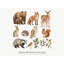 Woodland Family Wall Decals, Set of 15 Peel and Stick Nursery Wall Stickers, Satin Finish Removable Kids Room Wall Art, 20"W x 20"H (50 x 50 cm)-254554737