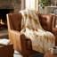 Couverture Snow Lynx Luxury-1955275958-1955275964