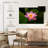 Fresh Lotus Flower-1214097615