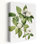 Contemporary Art Colourful Retro Rustic Flower Plant Art