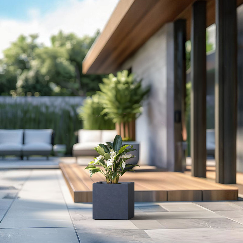 Boîte à fleurs en béton Redegonda, Gris granite, H 12 po x l 12 po x P 12 po