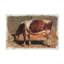 "Colman Color Study Of Cows I" sur toile-974558799