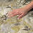 Premium Machine Washable Dream Shag ADS558 Floral Rug-2057635375-2057635372