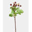 Artificial Montana Rose Hip 23.5"-1231080858-1231080859