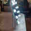Customer photo 2 of 2