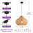 1 - Light 13.7" Boho Hand-Woven Natural Rattan Dome Pendant Light