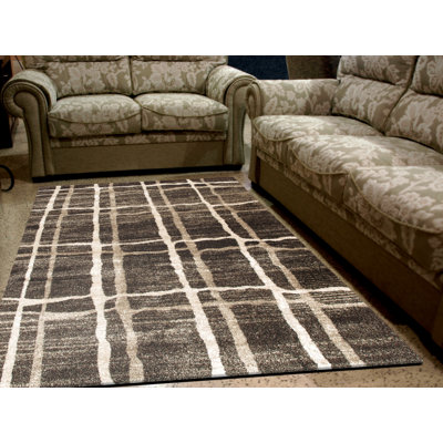 Area Rug