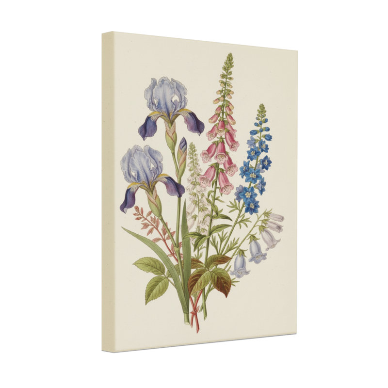 «Plants & Flowers Iris Foxglove Delphinium Bellflower Botanical Arrangement», reproduction d'art sur toile, H 36 po x l 24 po