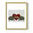 Turtle Kiss Framed Print - Solid Wood-955176705