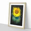 The Sunflower - Picture Frame Painting Print-56851912-56851908