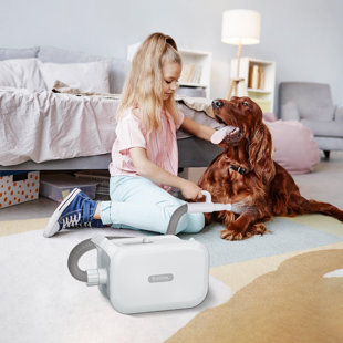 Séchoir pour animaux de compagnie, souffleur de poils pour le toilettage avec contrôle de la température et du débit d'air réglable, séchoir intelligent pour animaux avec écran à DEL, 3 buses, séchoir pour chiens avec moteur à ionisation négati