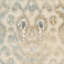Lymansville Ikat Viscose Area Rug-11394075