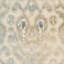 Tapis ikat Saint-Michel Performance-19263225