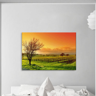 Vineyard - Wrapped Canvas Print