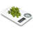 Ozeri Digital Scale-17854773
