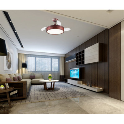 Ceiling Fan with LED Lights