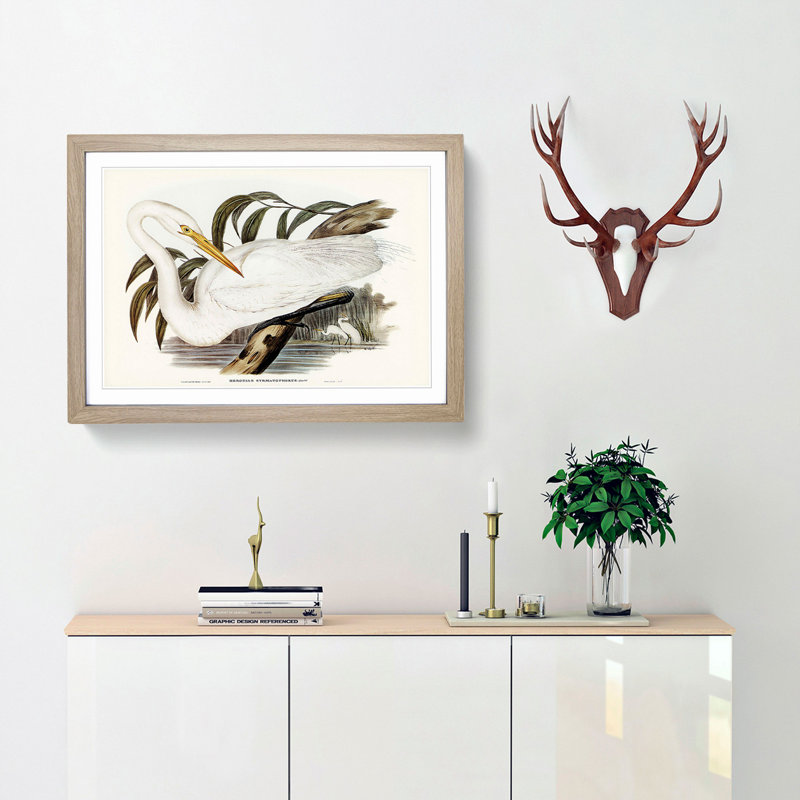 Australian Egret by Elizabeth Gould - Single Picture Frame Painting, 45cm H x 63cm W x 2cm D, Oak Framed