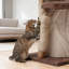 Maison pour chat 44 po