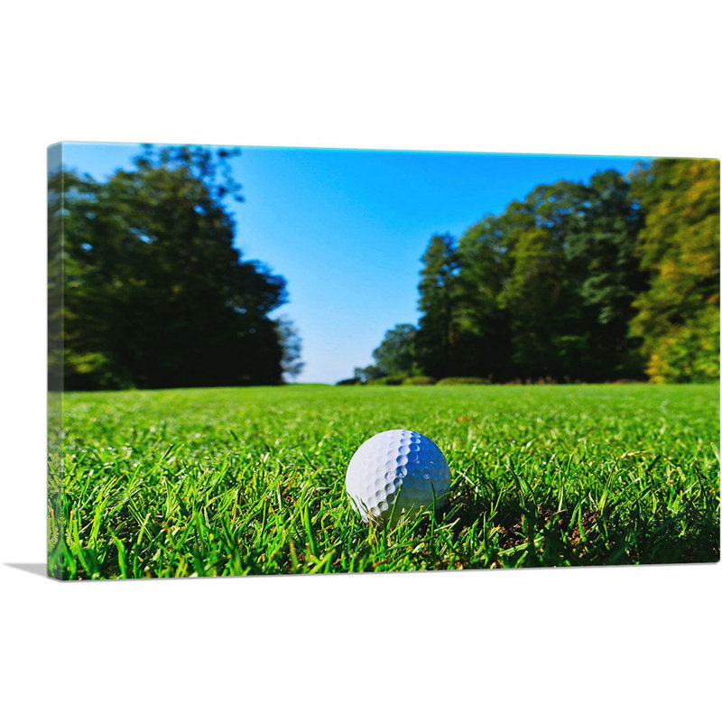 Golf ball in Grass - Reproduction de photo sur toile tendue, H 18 po x l 26 po x P 0,75 po
