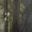 Tousignant Netting
