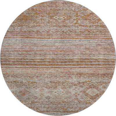 Premium Machine Washable Jaylin AMF1219 Global Rug