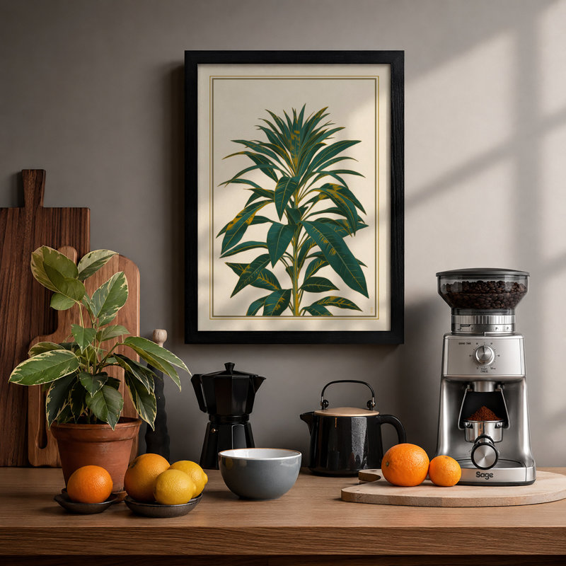 Study Botanical - Framed Print, Black, A4 - 29.7 x 21.0 cm