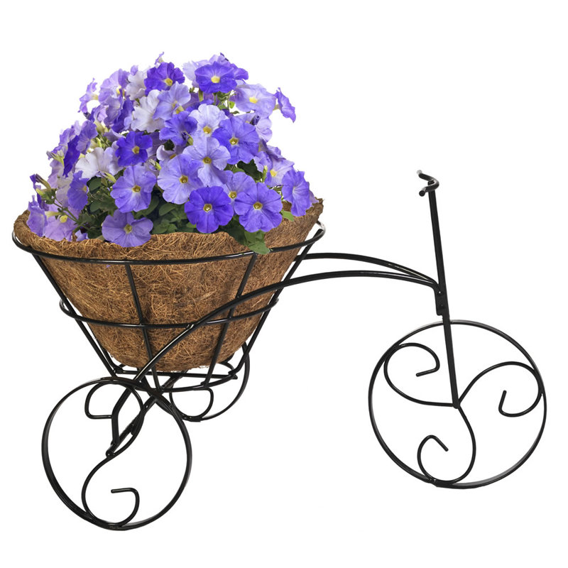 Support pour plante Azizi