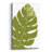 " Monstera " by Trish Sierer