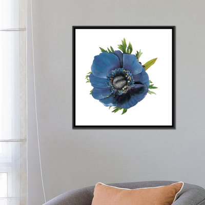 «Brighton Blooms III» par Naomi McCavitt, impression sur toile