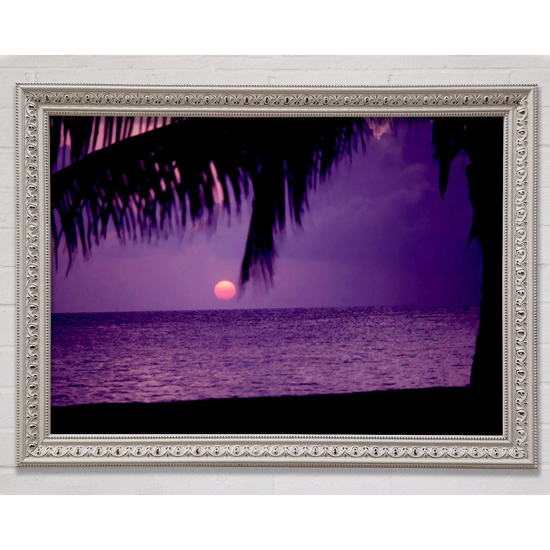 Sun Down Palm Purple - Einzelne Bilderrahmen Kunstdrucke