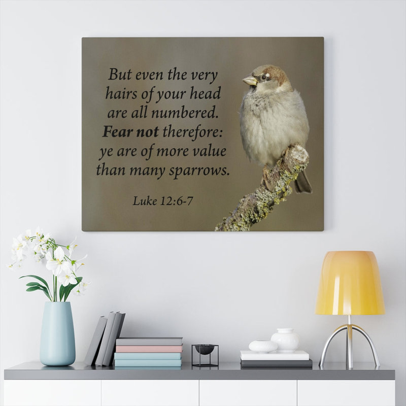 Value Luke 12:6 - Wrapped Canvas Print, 46cm H x 61cm W