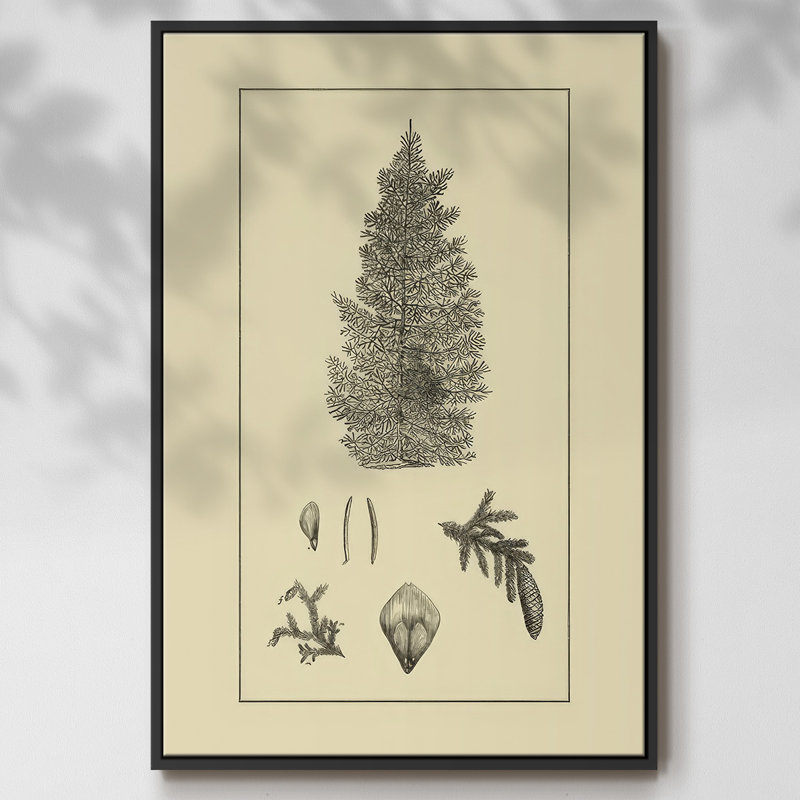 Arbor Study I, Noir, H 25 po x l 17 po x P 1,5 po