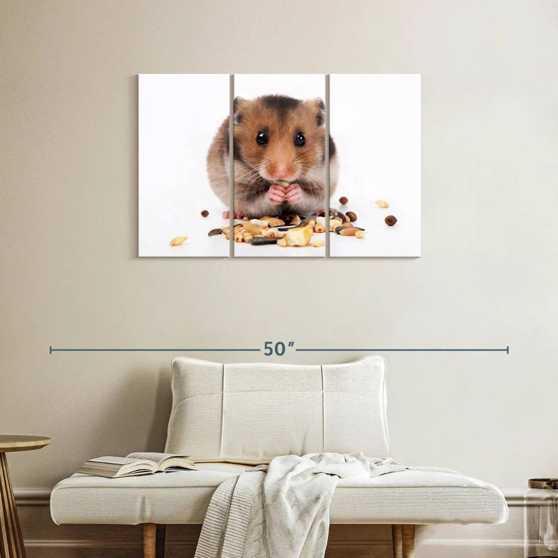 Hamster Eating Nuts And Seeds, 24" H x 38" W
