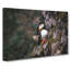 Atlantic Puffin Birds Vol.1 - Wrapped Canvas Painting-61854705