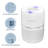 Tabletop Air Purifier with True HEPA Filter