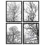 "Noir et blanc vue du sol, arbres, photographie de nature abstraite, décor moderne", 4 pièces-101520326-101520331