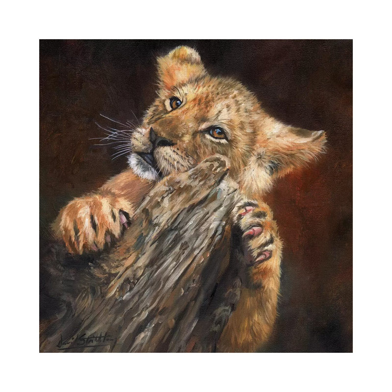 Lion Cub Tree by David Stribbling - Wrapped Canvas Print, 66.04 cm H x 66.04 cm W x 1.91 cm D