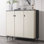 Beige Metal Shoe Storage