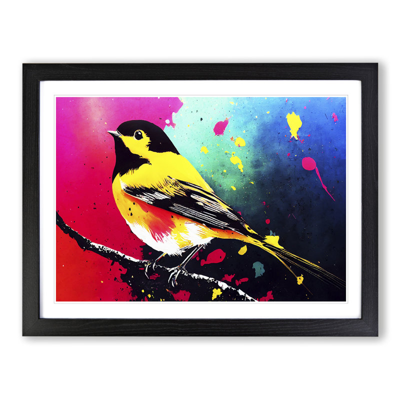 Robin Bird Splash Vol.4 Abstract - Single Picture Frame Print, Black Framed, 46cm H x 64cm W x 2cm D