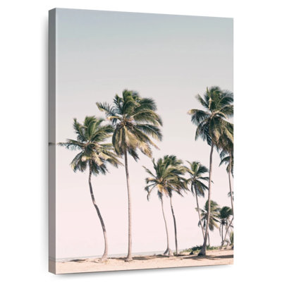 Gillard Coastal Tropical Paradise